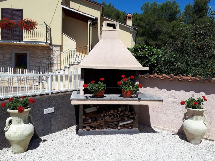 Apartments Rovis Tar-Vabriga 외부 사진